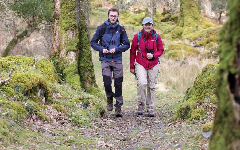 Wanderungen in Irland