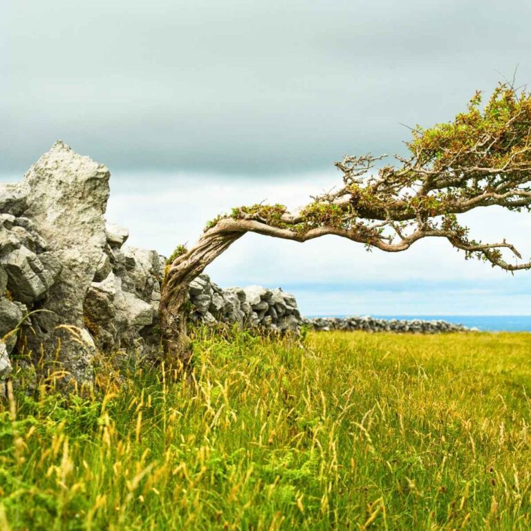 Mietwagenrundreise Irland . Connemara