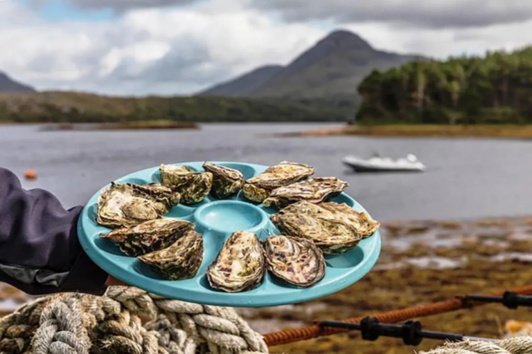Connemara Oyster Farm, Connemara, Irland