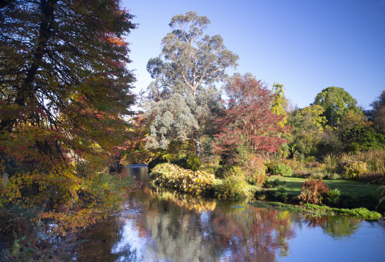 Mount Usher Gardens, Co. Wicklow, Irland