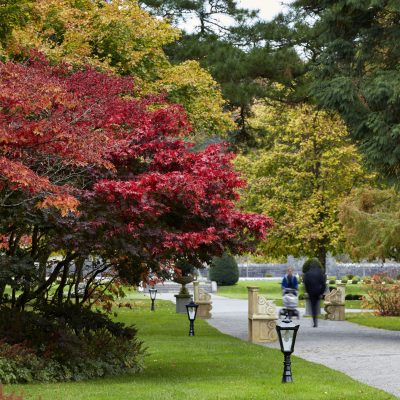Ashford Castle Gardens
