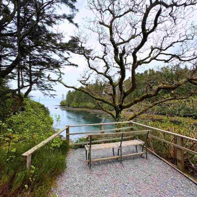 Beara Halbinsel Derreen Gardens