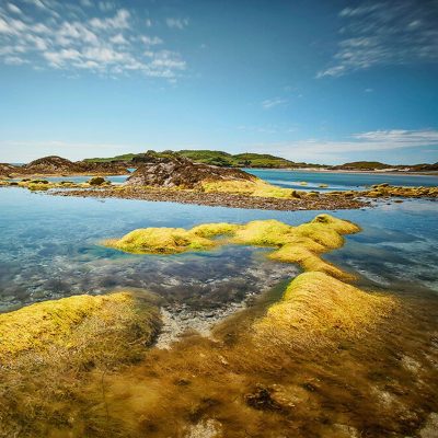 Dingle Ausflug während der Irland Autorundreise