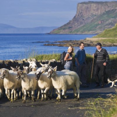 Hikers Watch as Dog Herds Sheep Carrickmore, Ballycastle 010_Web Size