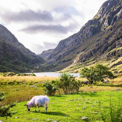Kurztrip nach Kerry . Gap of Dunloe