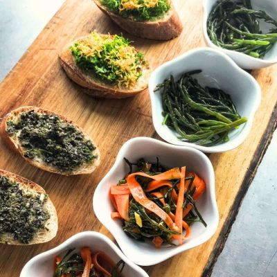 Seetang Verkostung während der Irland Kulinarik Reise